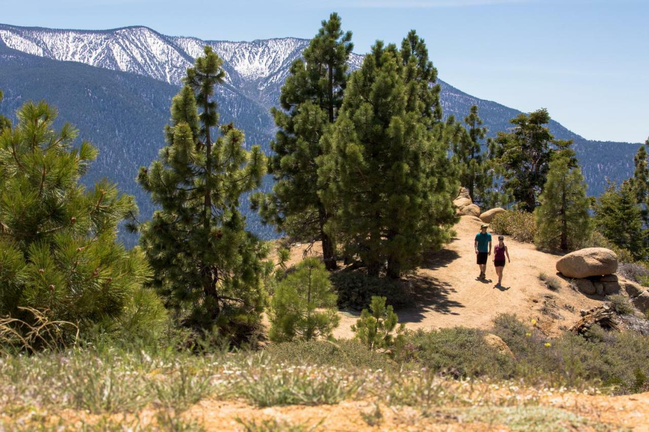 Honey Bear Lodge & Cabins Big Bear Lake Bagian luar foto