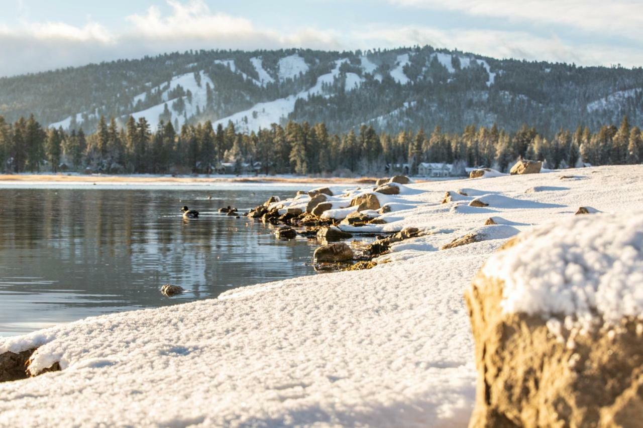 Honey Bear Lodge & Cabins Big Bear Lake Bagian luar foto
