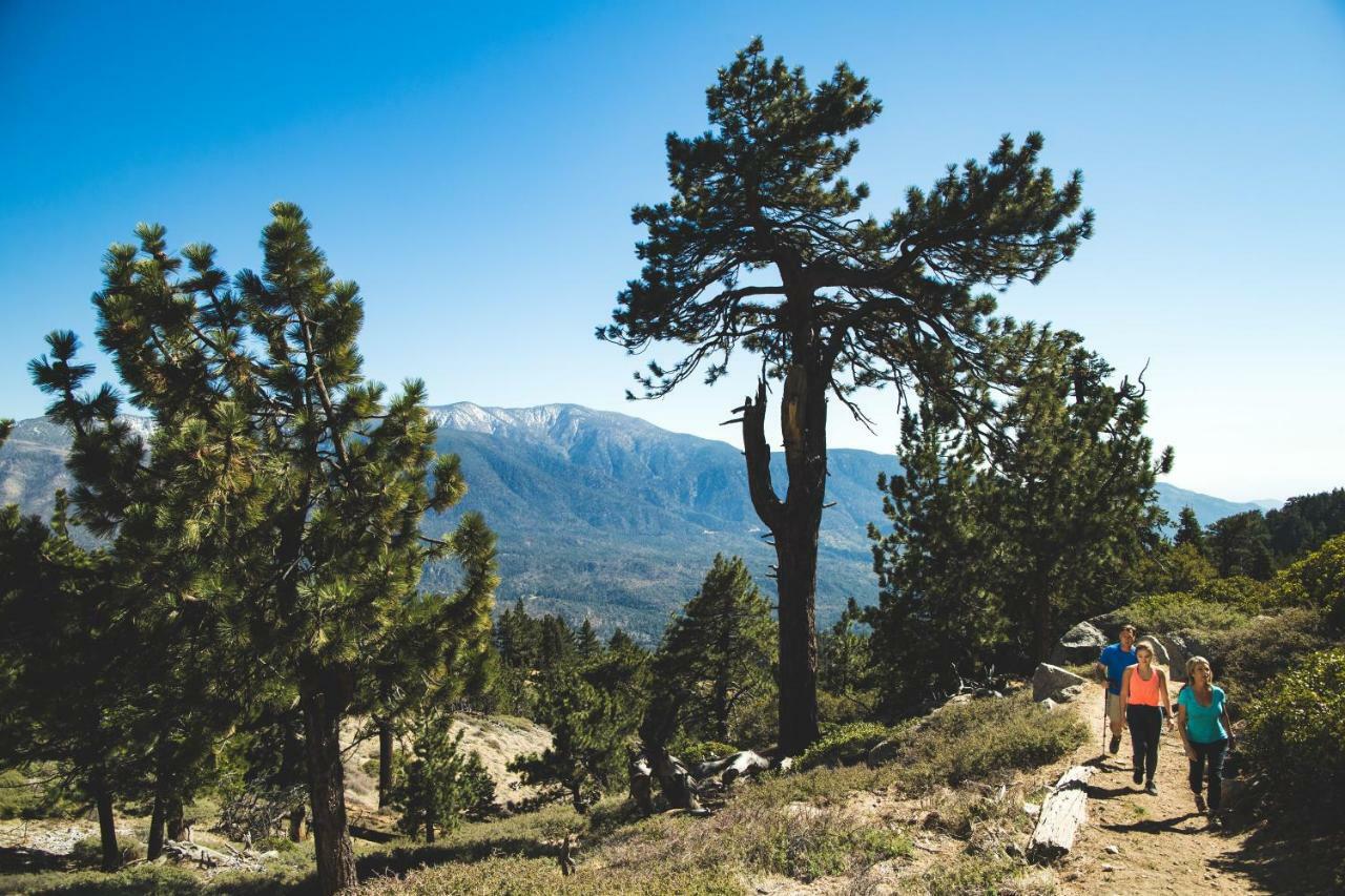 Honey Bear Lodge & Cabins Big Bear Lake Bagian luar foto